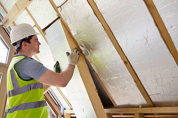 Best Eco-Friendly Insulation in Clear Lake Shores, TX